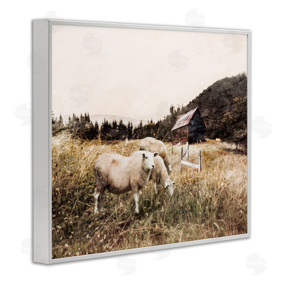 Bluebird Barn Autumn Field Farm Sheep Grazing Wilderness Barn