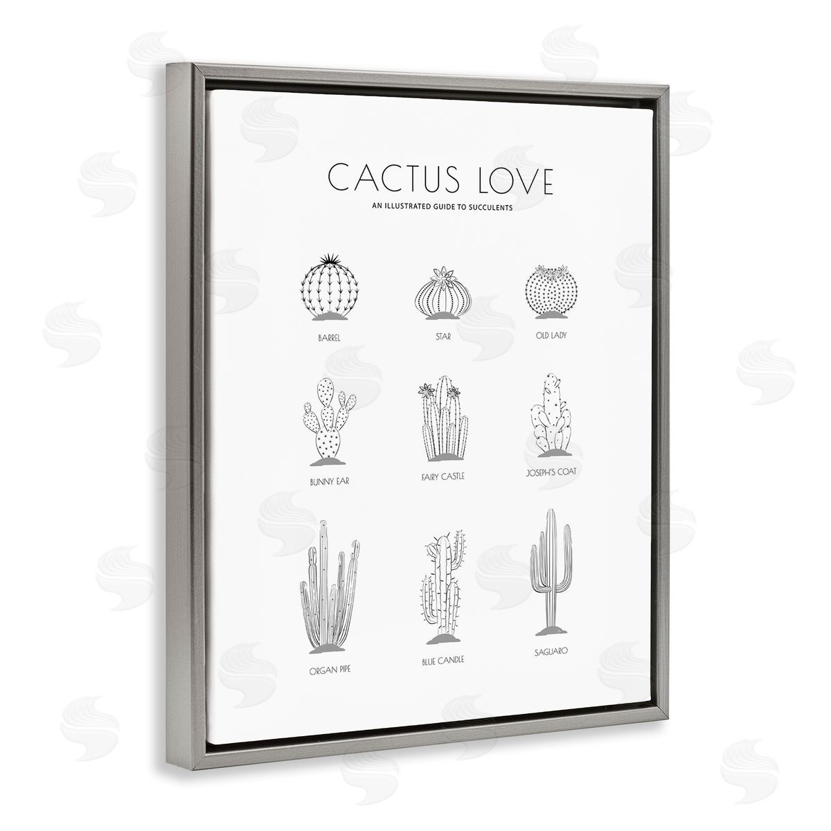 Martina Pavlova Illustrated Guide to Succulents Minimal Modern Cactus Plant
