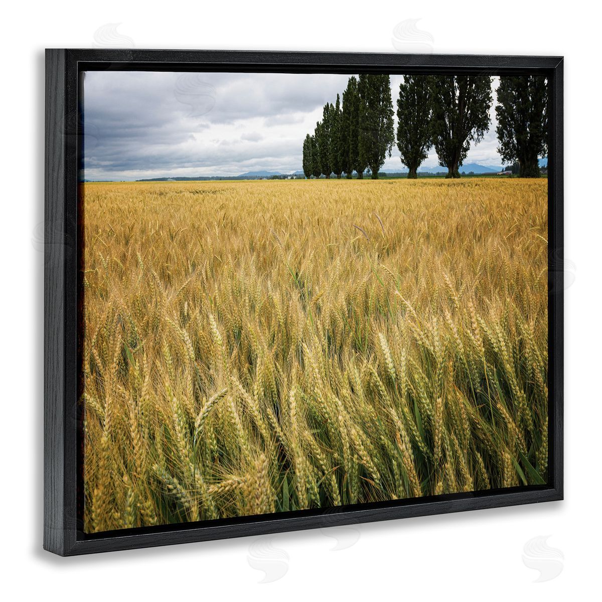 Nancy Crowell Wheat Field Harvest Windy Field Country Landscape