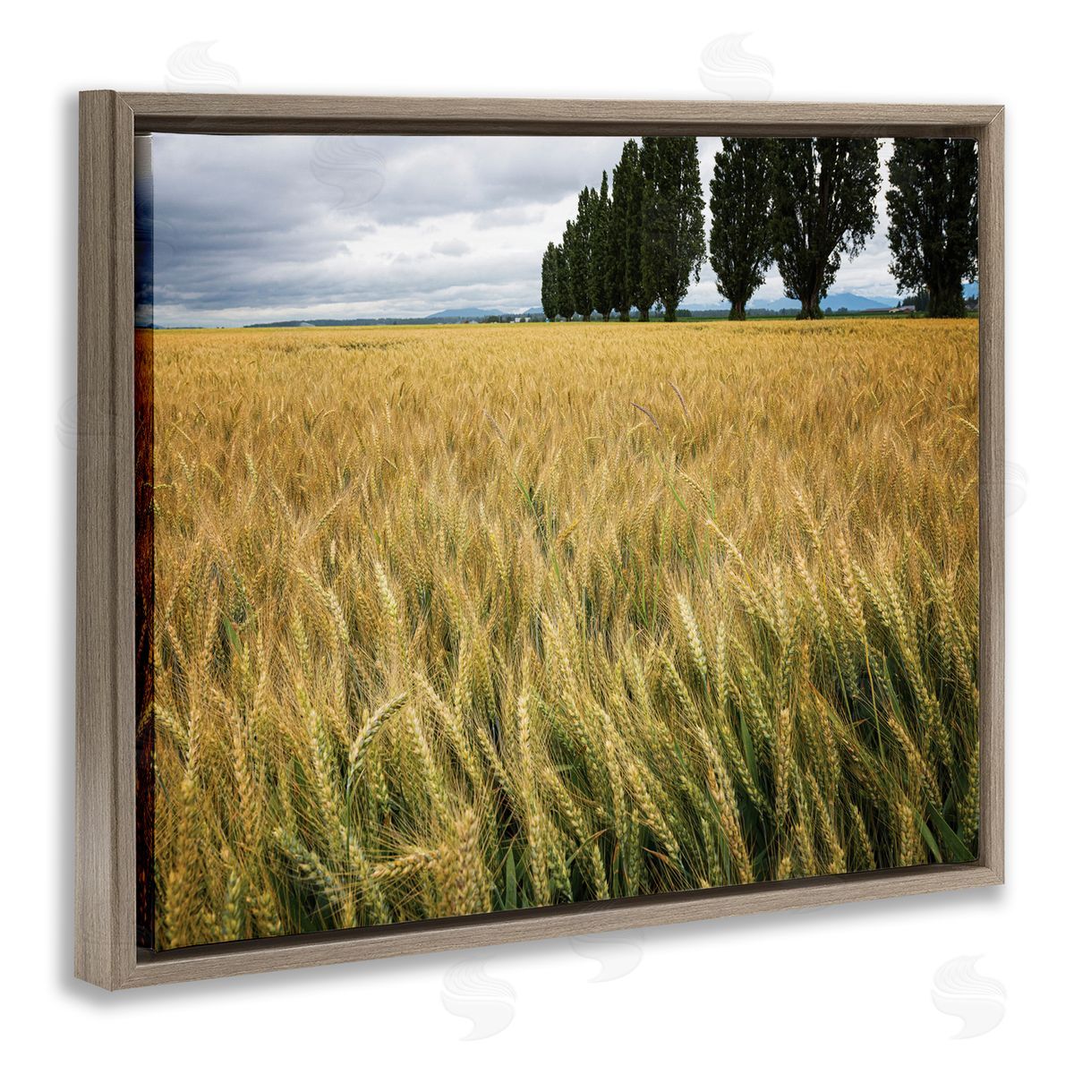 Nancy Crowell Wheat Field Harvest Windy Field Country Landscape