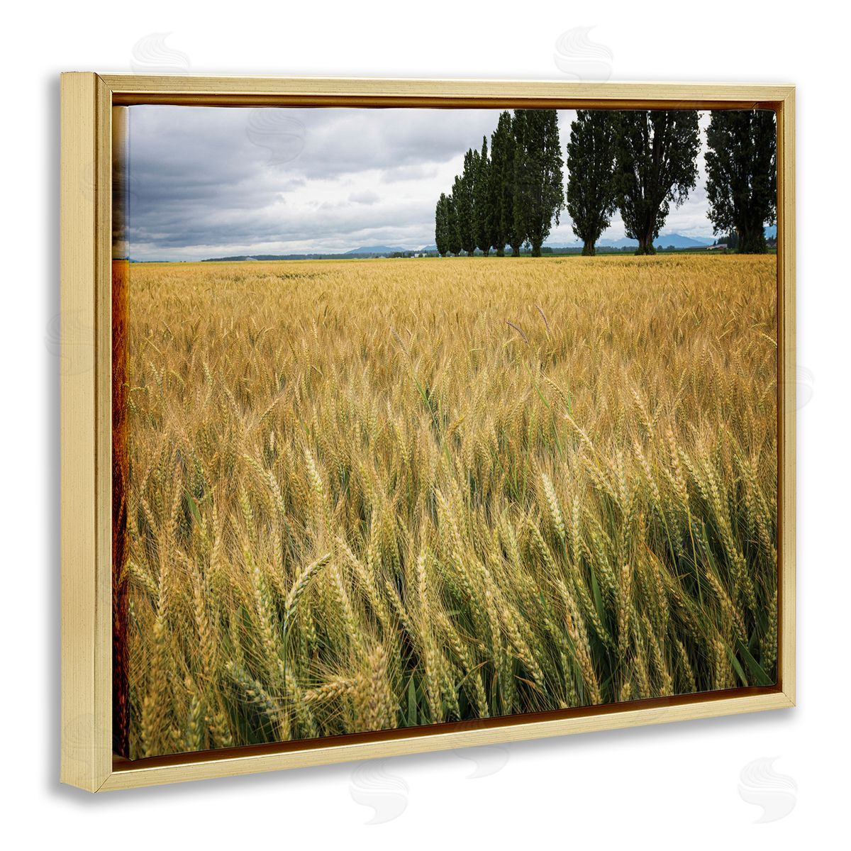 Nancy Crowell Wheat Field Harvest Windy Field Country Landscape