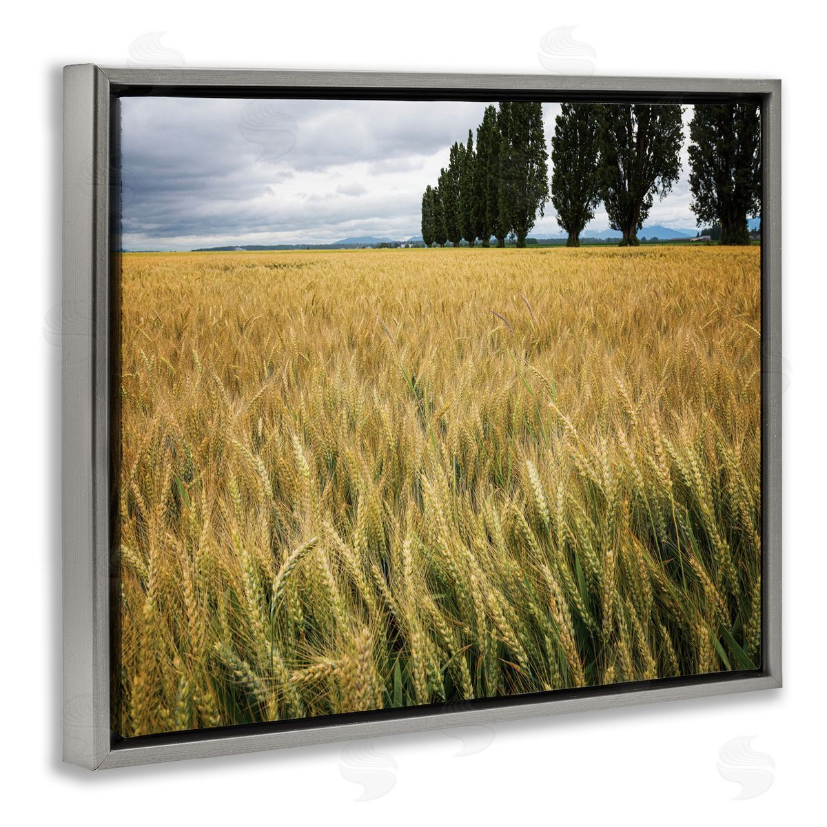 Nancy Crowell Wheat Field Harvest Windy Field Country Landscape