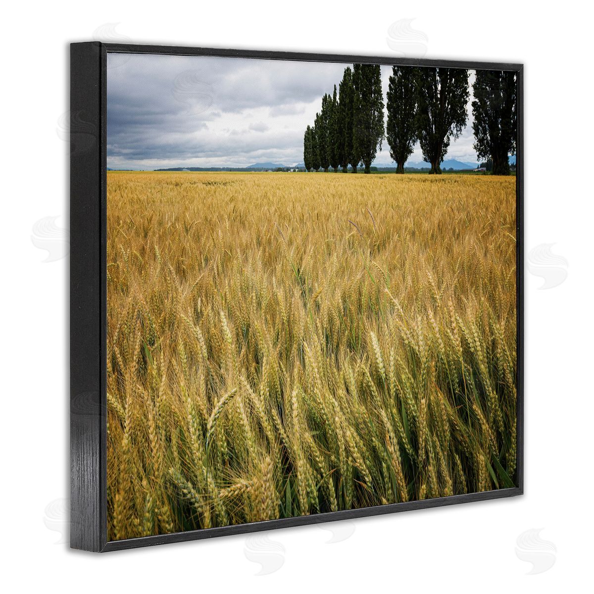 Nancy Crowell Wheat Field Harvest Windy Field Country Landscape