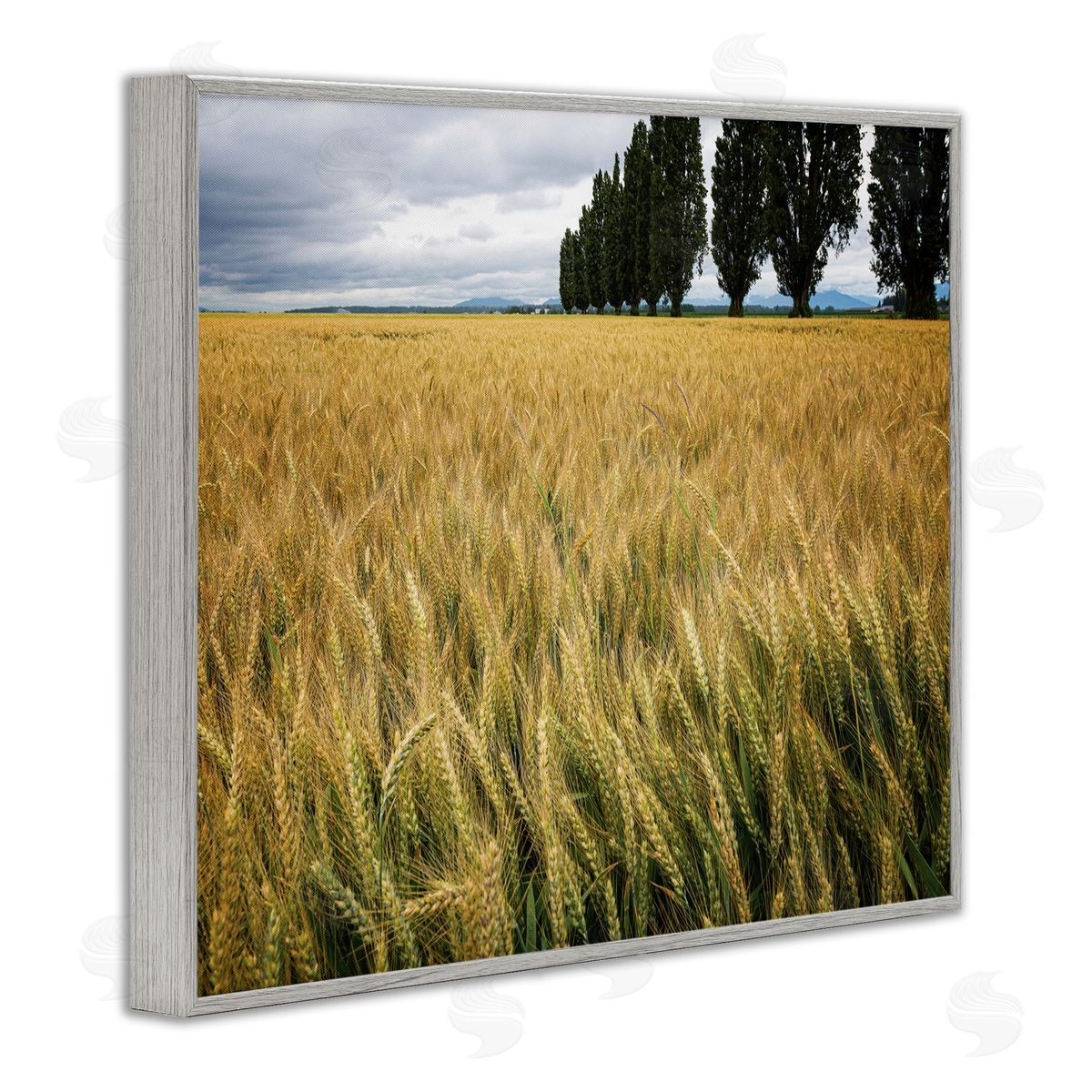 Nancy Crowell Wheat Field Harvest Windy Field Country Landscape