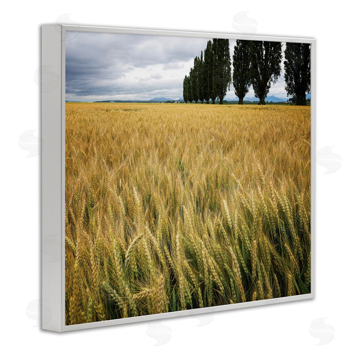 Nancy Crowell Wheat Field Harvest Windy Field Country Landscape