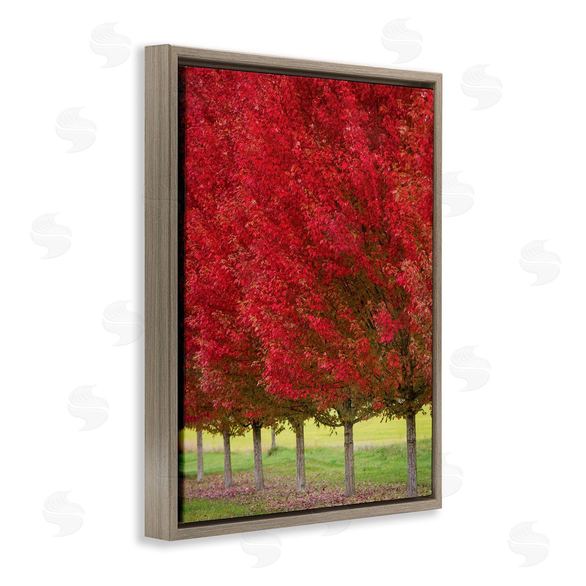 Nancy Crowell Autumn Foliage Red Leaf Trees Nature Scene