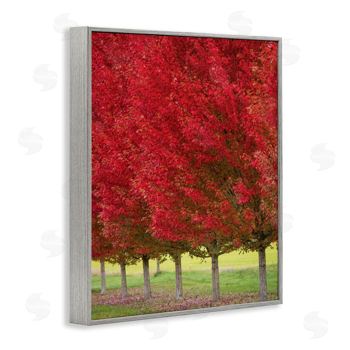 Nancy Crowell Autumn Foliage Red Leaf Trees Nature Scene