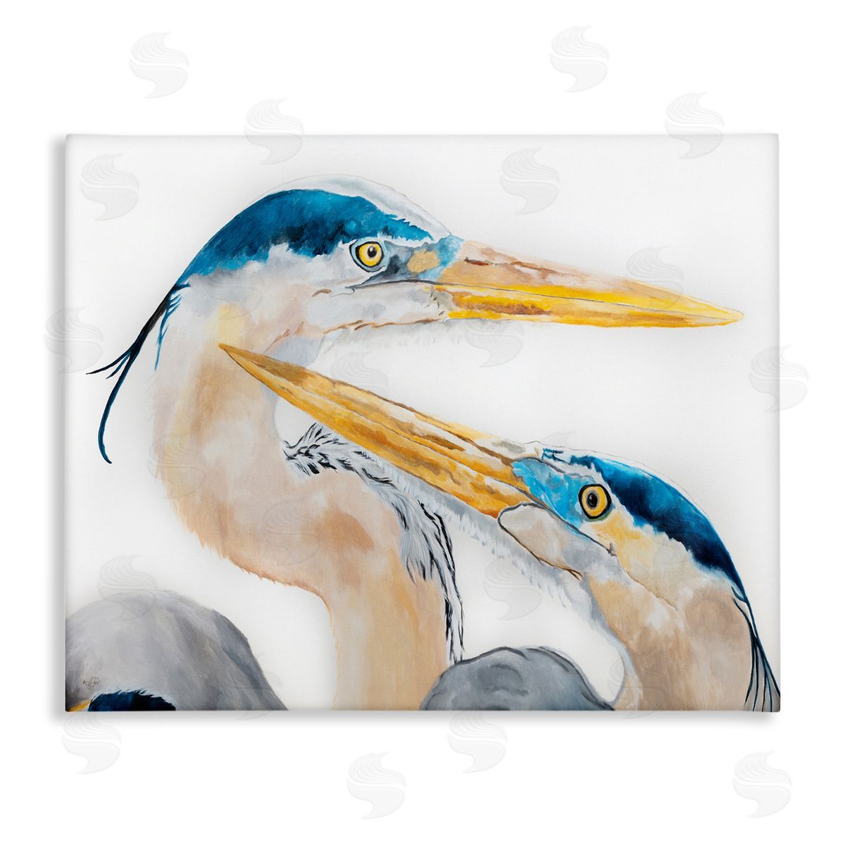 Diane Fifer Great Blue Heron Pairing Bird Waterfowl Pair Portrait