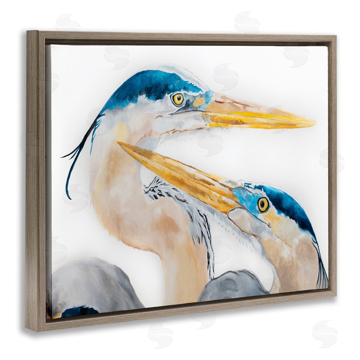 Diane Fifer Great Blue Heron Pairing Bird Waterfowl Pair Portrait