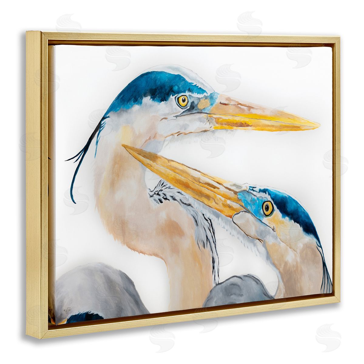 Diane Fifer Great Blue Heron Pairing Bird Waterfowl Pair Portrait