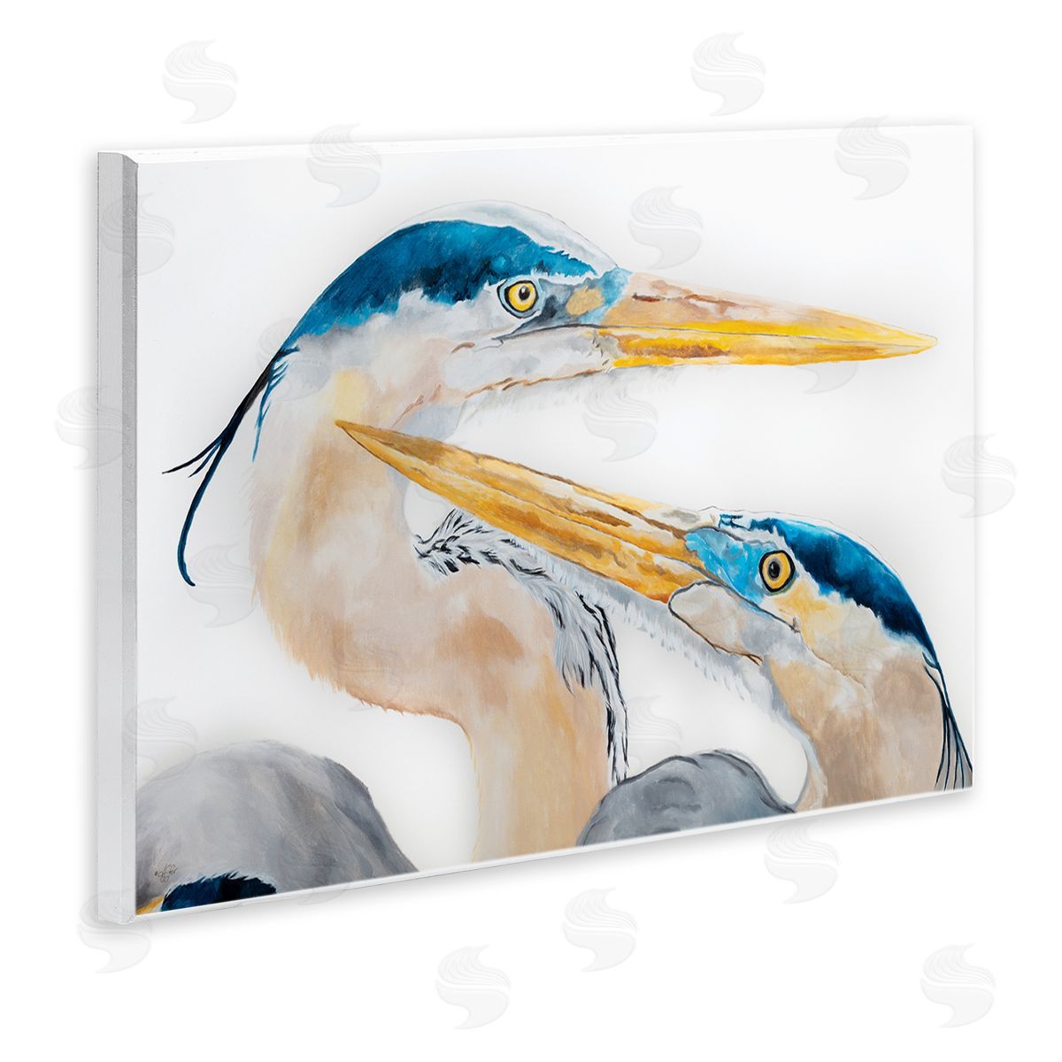 Diane Fifer Great Blue Heron Pairing Bird Waterfowl Pair Portrait