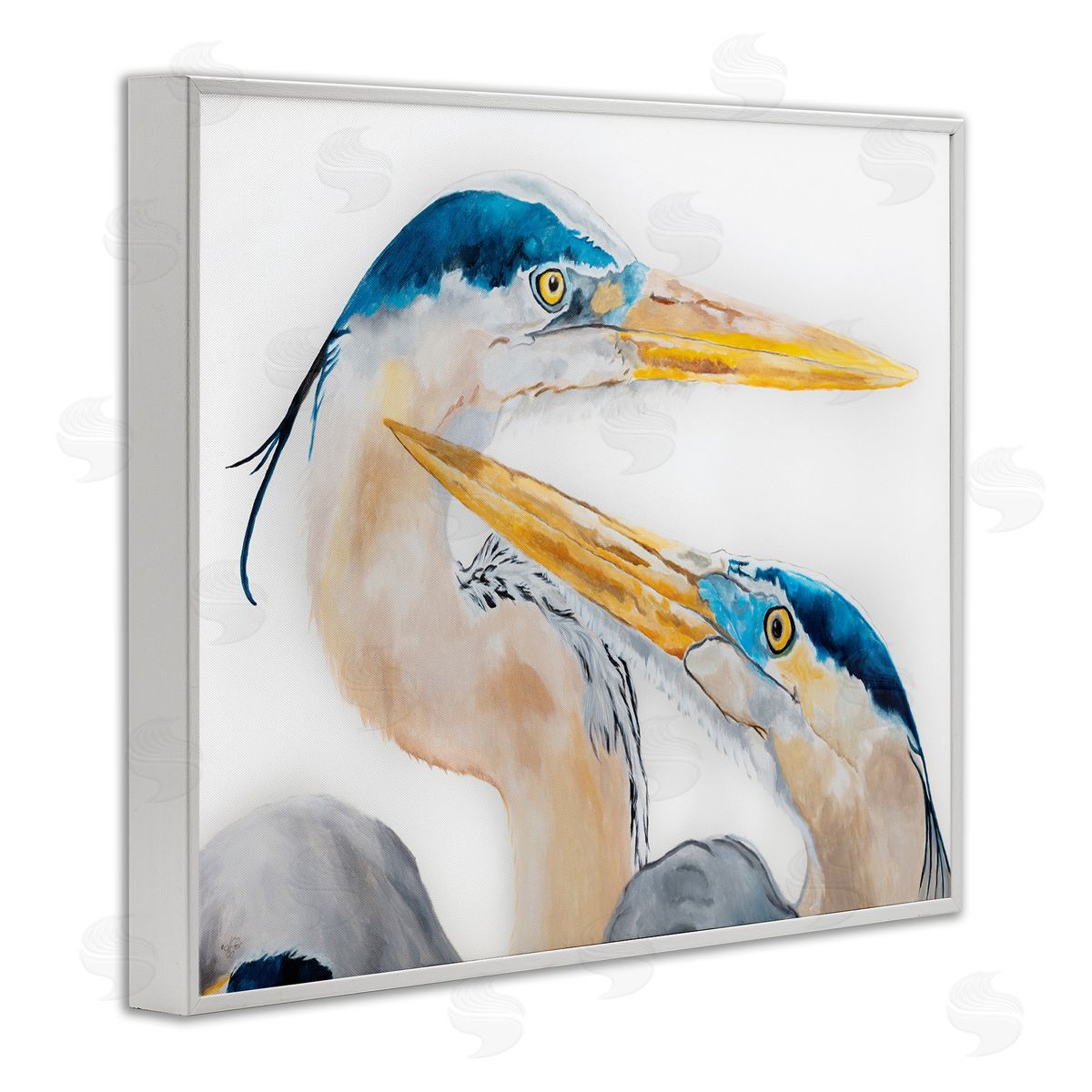 Diane Fifer Great Blue Heron Pairing Bird Waterfowl Pair Portrait