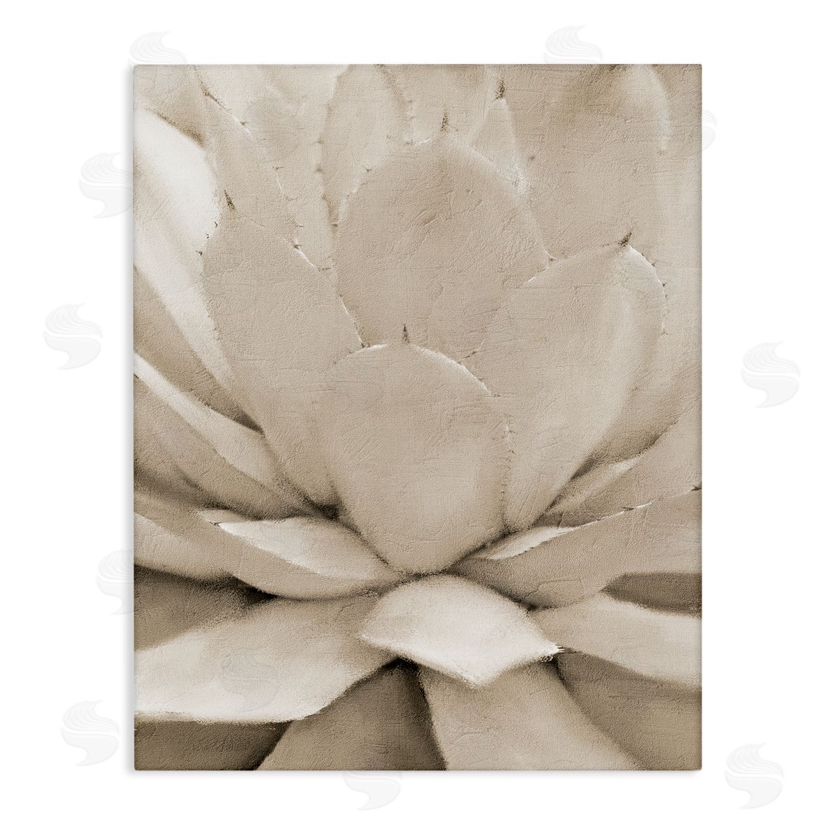 Kim Allen Prickly Agave Plant Monochromatic Beige Desert Succulent