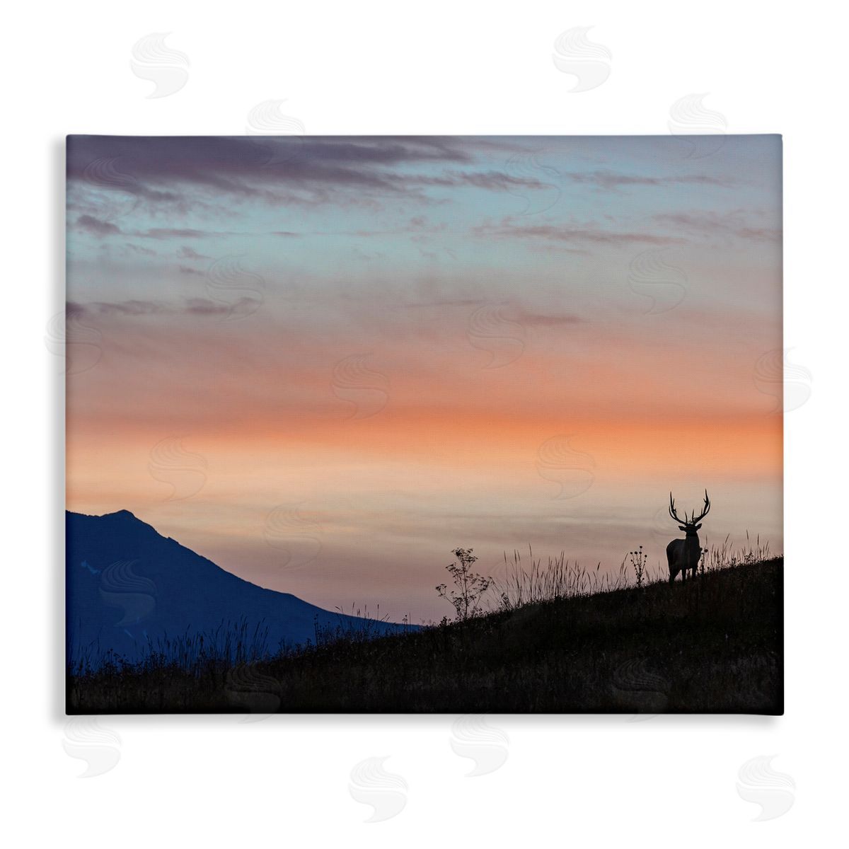 Larry McFerrin Mountain Elk Sunset Silhouette Blush Orange Skyline