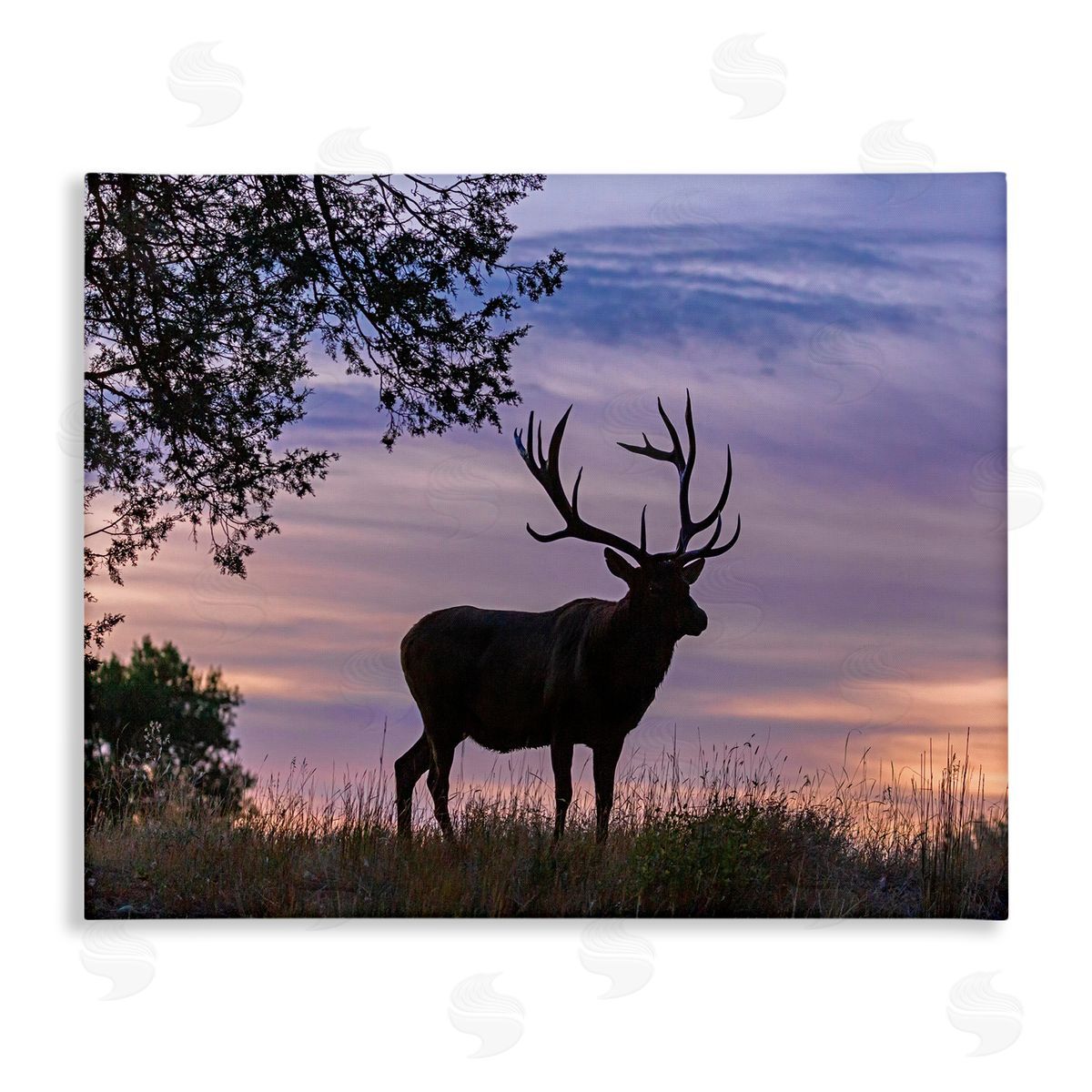 Larry McFerrin Wild Elk Sunrise Forest Animal Antlers Morning Sky