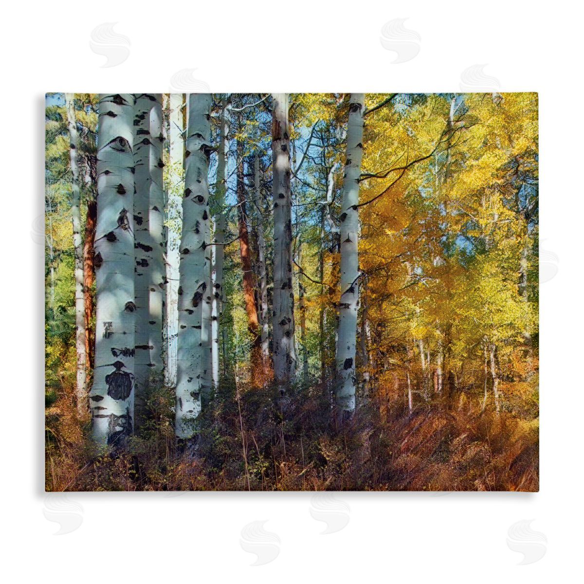 stupell industries Larry McFerrin | Cluster of Birch Trees in Yellow Autumn Forest Wall Art