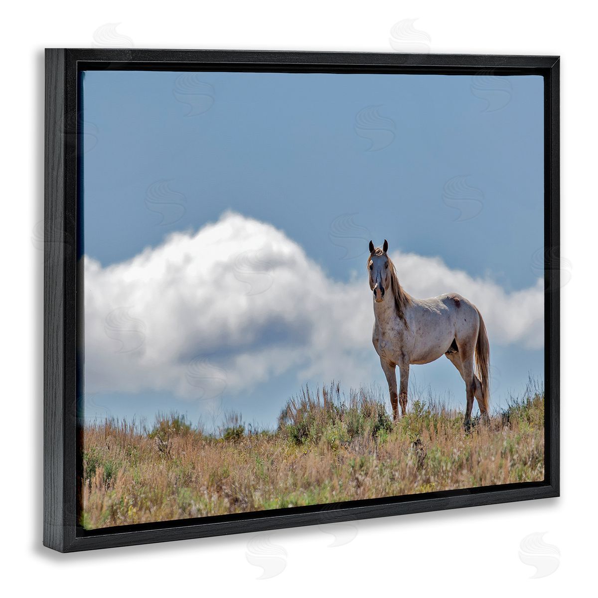 Larry McFerrin Wild Horse Standing Strong Along Daytime Cloudy Sky