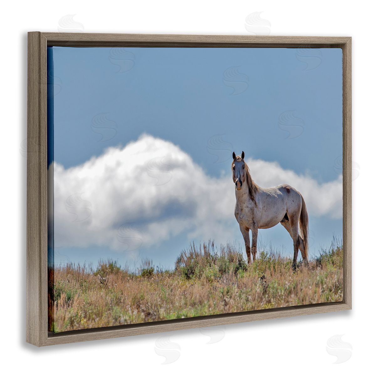 Larry McFerrin Wild Horse Standing Strong Along Daytime Cloudy Sky