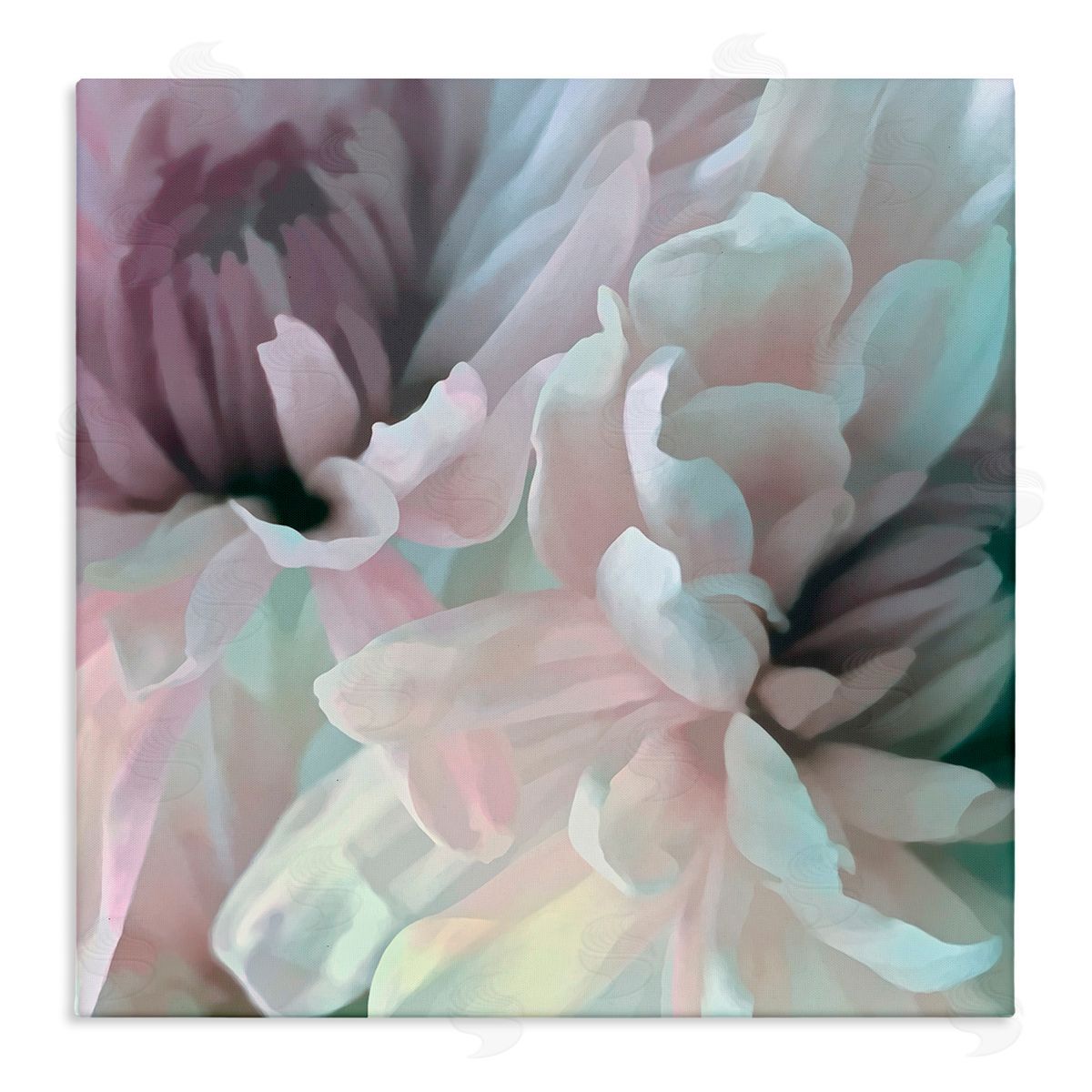 David Pollard Pink Floral Petal Study Blush Tone Flowers Stretched Canvas Wall Art Print