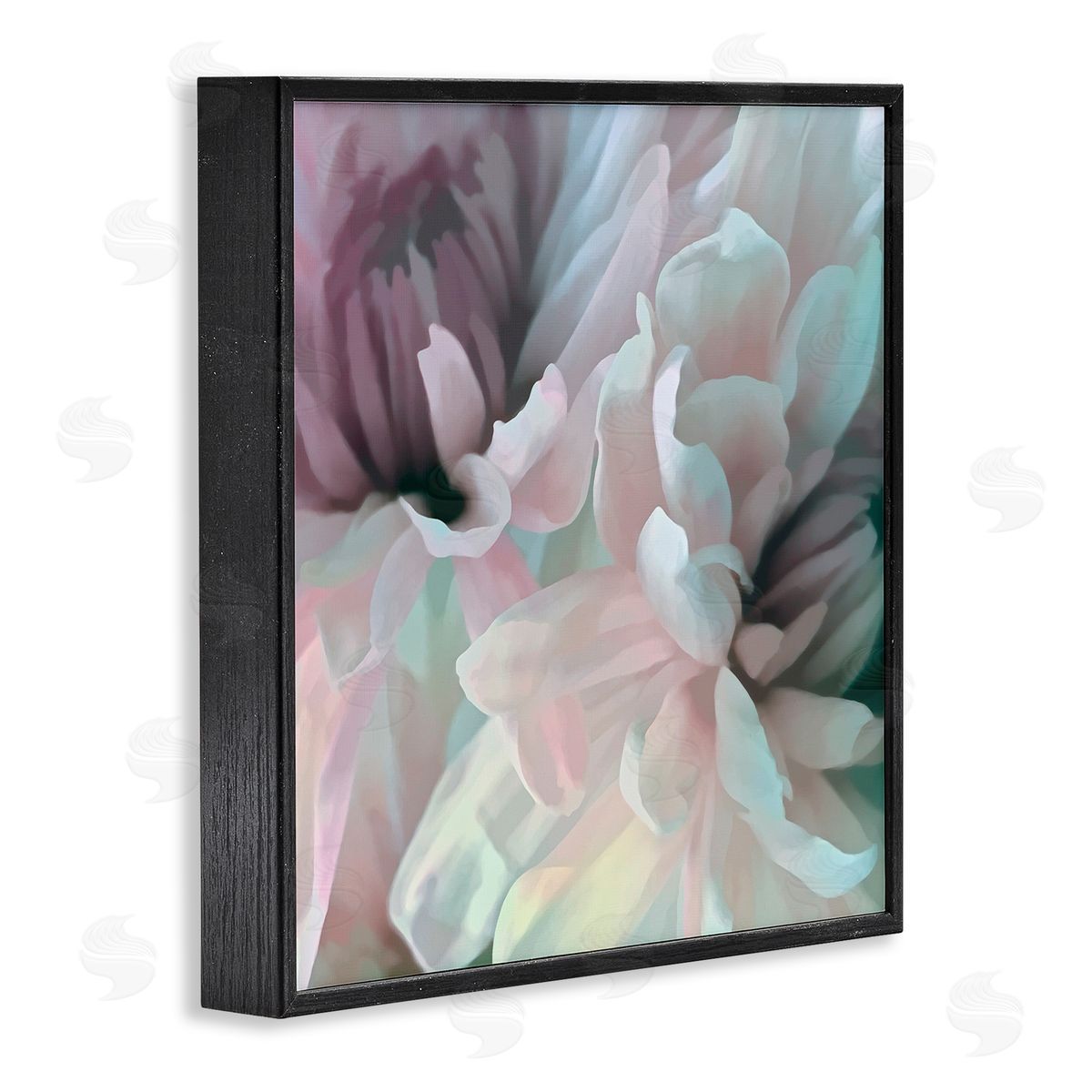 David Pollard Pink Floral Petal Study Blush Tone Flowers Black Framed Glicee Wall Art Print