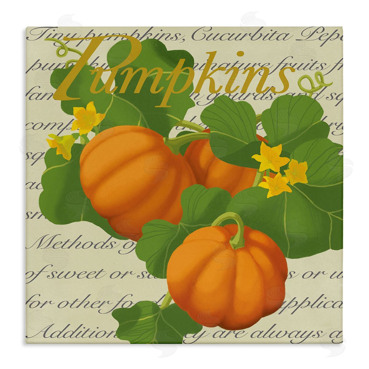 Sally Springer Griffith Pumpkin Floral Gourd Plants Vintage Typography Stretched Canvas Wall Art Print