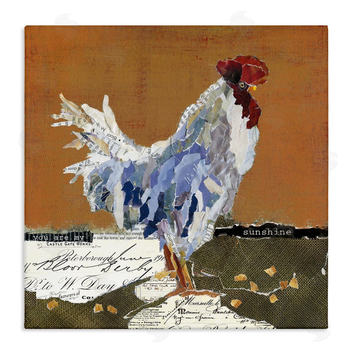 Carol Robinson Country Farm Chicken Collage My Sunshine Sentiment Stretched Canvas Wall Art Print