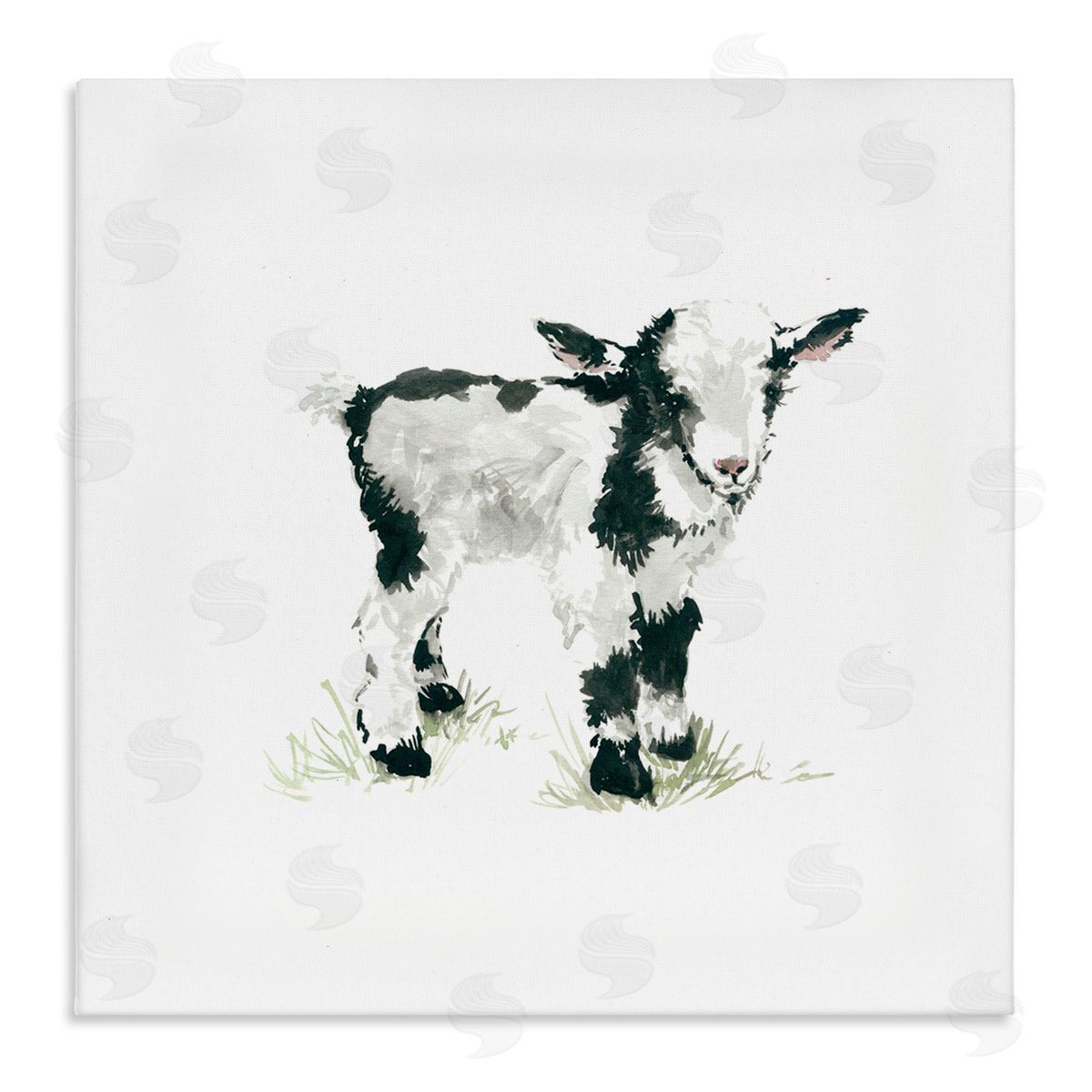 Carol Robinson Baby Farm Lamb Minimal Country Animal over White Stretched Canvas Wall Art Print