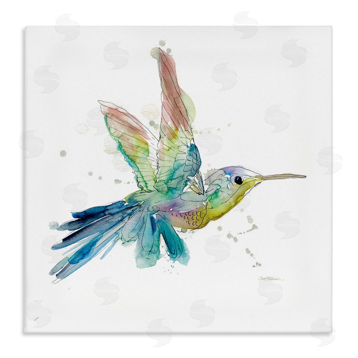 Carol Robinson Contemporary Hummingbird Animal Minimal Rainbow Watercolor Stretched Canvas Wall Art Print