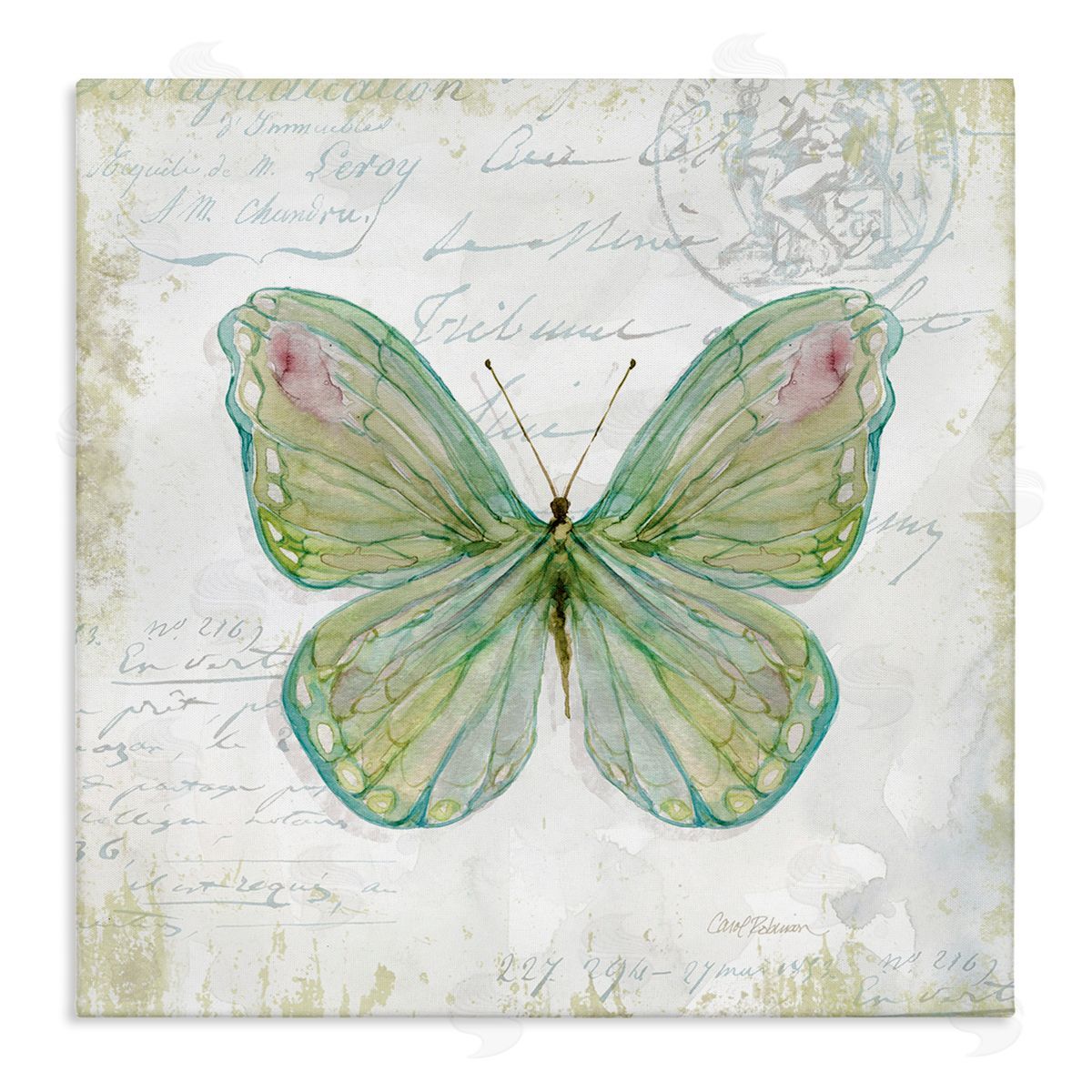 Carol Robinson Antique Butterfly Insect Charming Vintage Postal Scripture Stretched Canvas Wall Art Print
