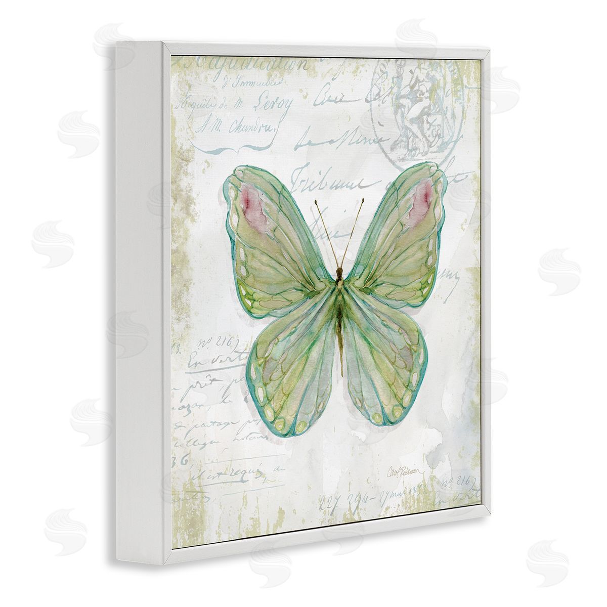 Carol Robinson Antique Butterfly Insect Charming Vintage Postal Scripture White Framed Glicee Wall Art Print
