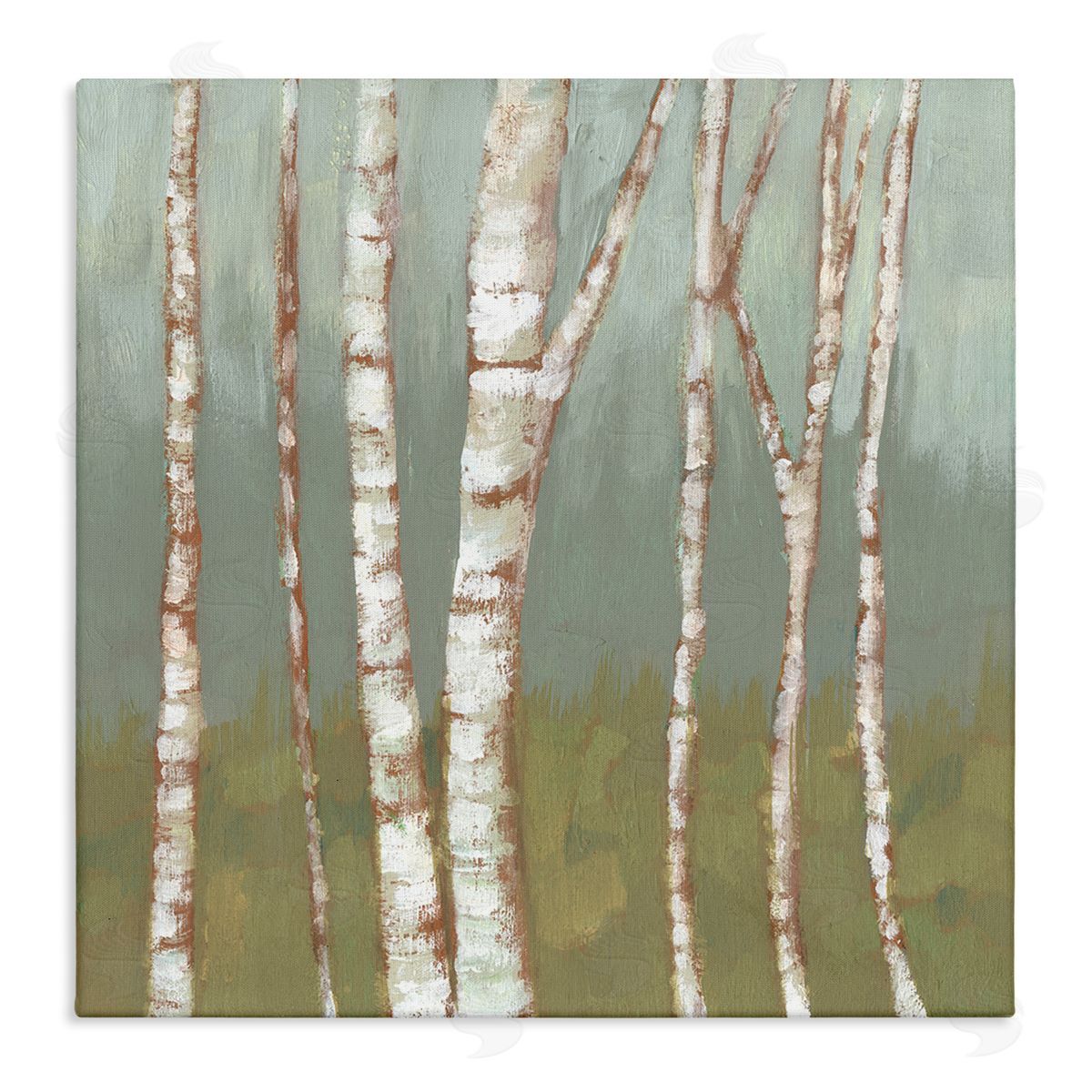 Jennifer Goldberger Contemporary Birch Tree Bark Soft Green Forest Landscape Stretched Canvas Wall Art Print