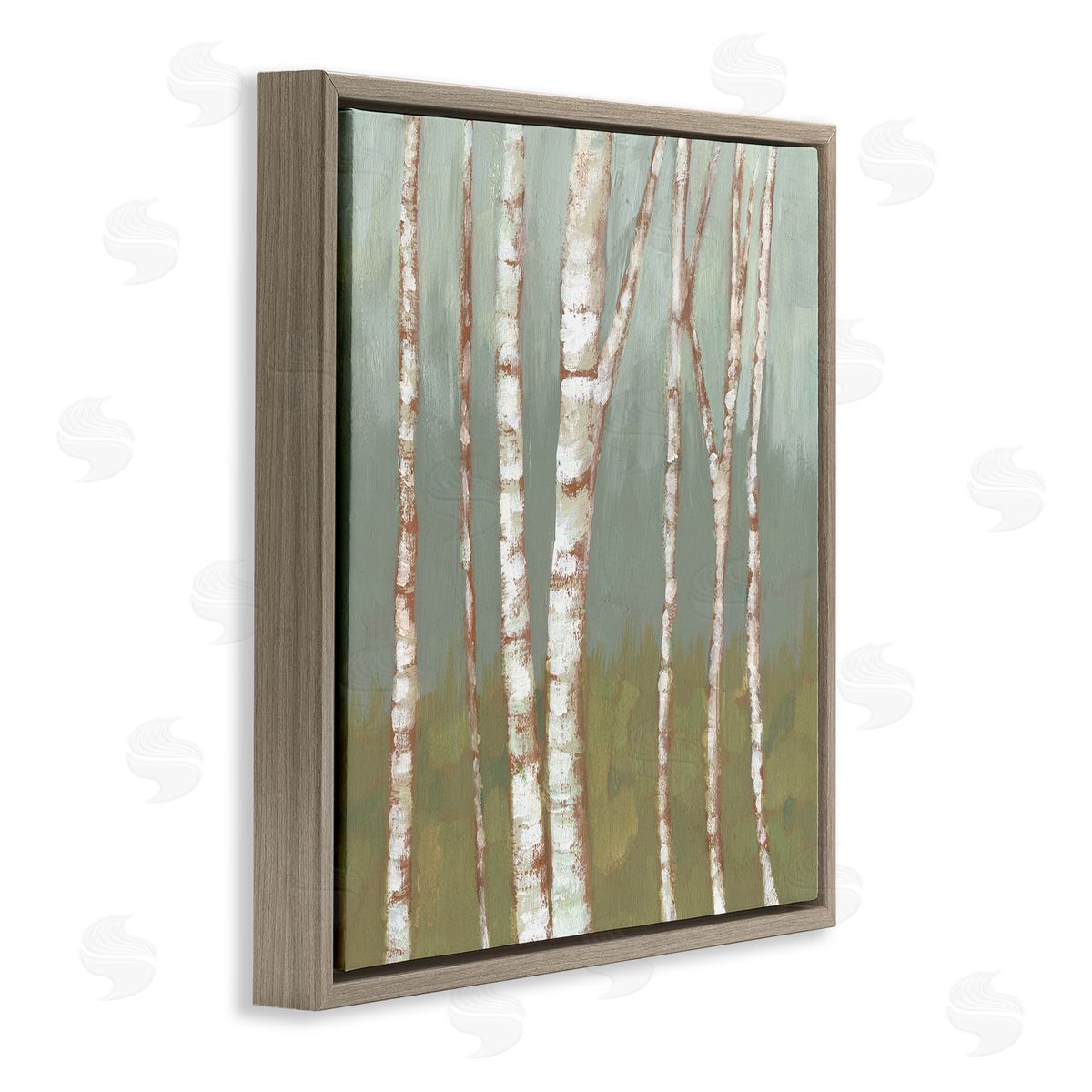 Jennifer Goldberger Contemporary Birch Tree Bark Soft Green Forest Landscape Brown Floating Frame Canvas Wall Art Print