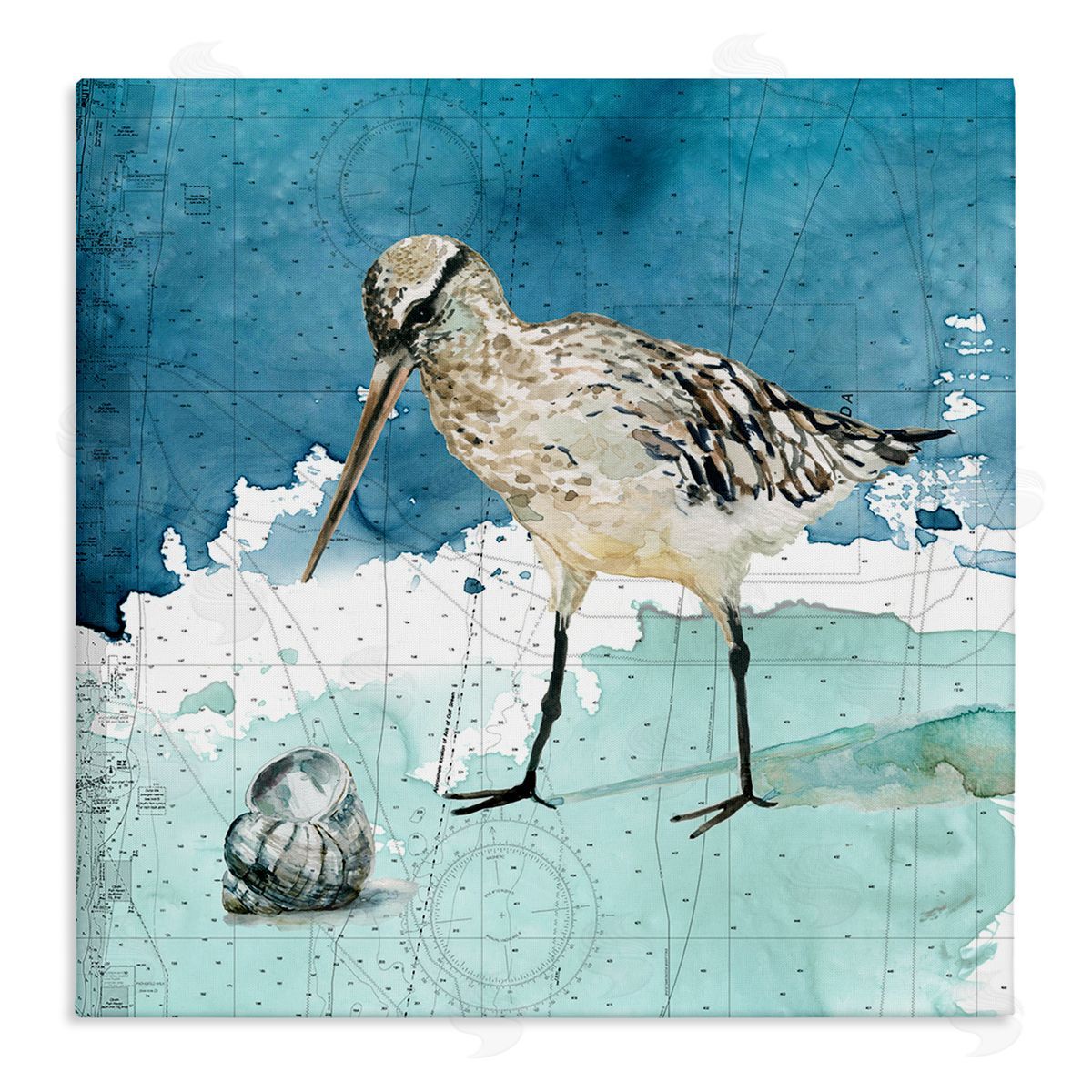 Carol Robinson Beach Bird Round Shell Blue Ocean Coastal Map Stretched Canvas Wall Art Print