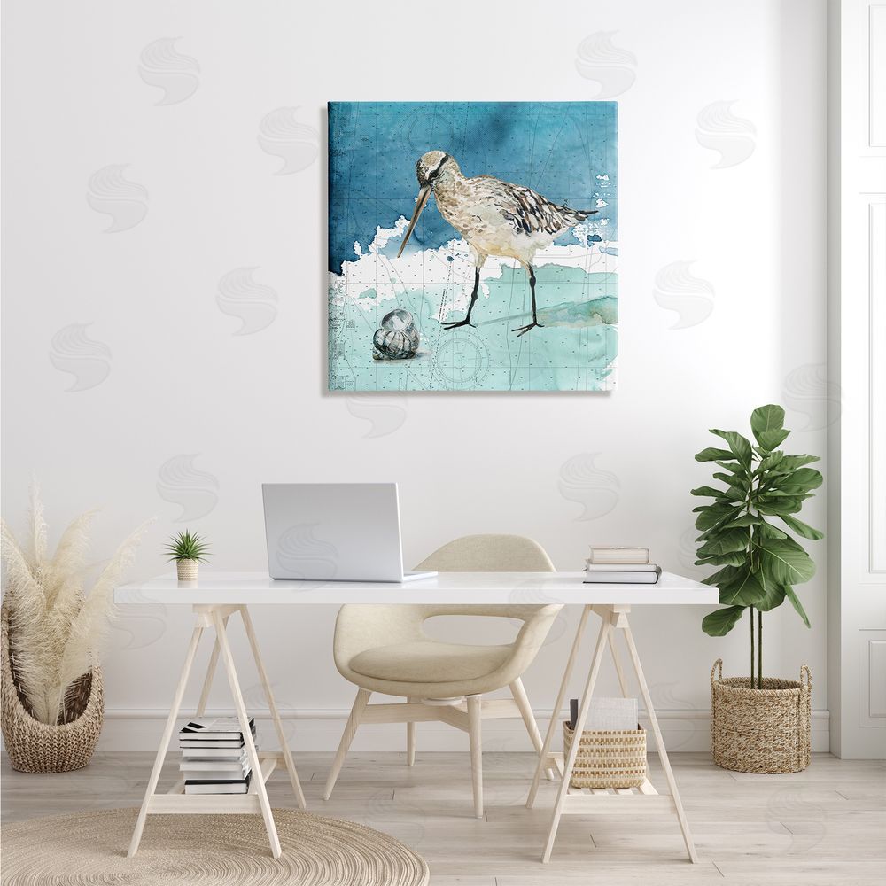 Carol Robinson Beach Bird Round Shell Blue Ocean Coastal Map Canvas Wall Art in Room
