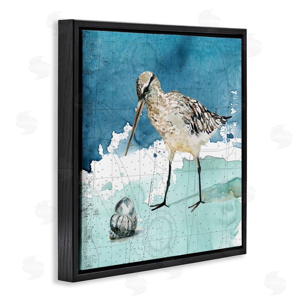 Carol Robinson Beach Bird Round Shell Blue Ocean Coastal Map Black Floating Frame Canvas Wall Art Print