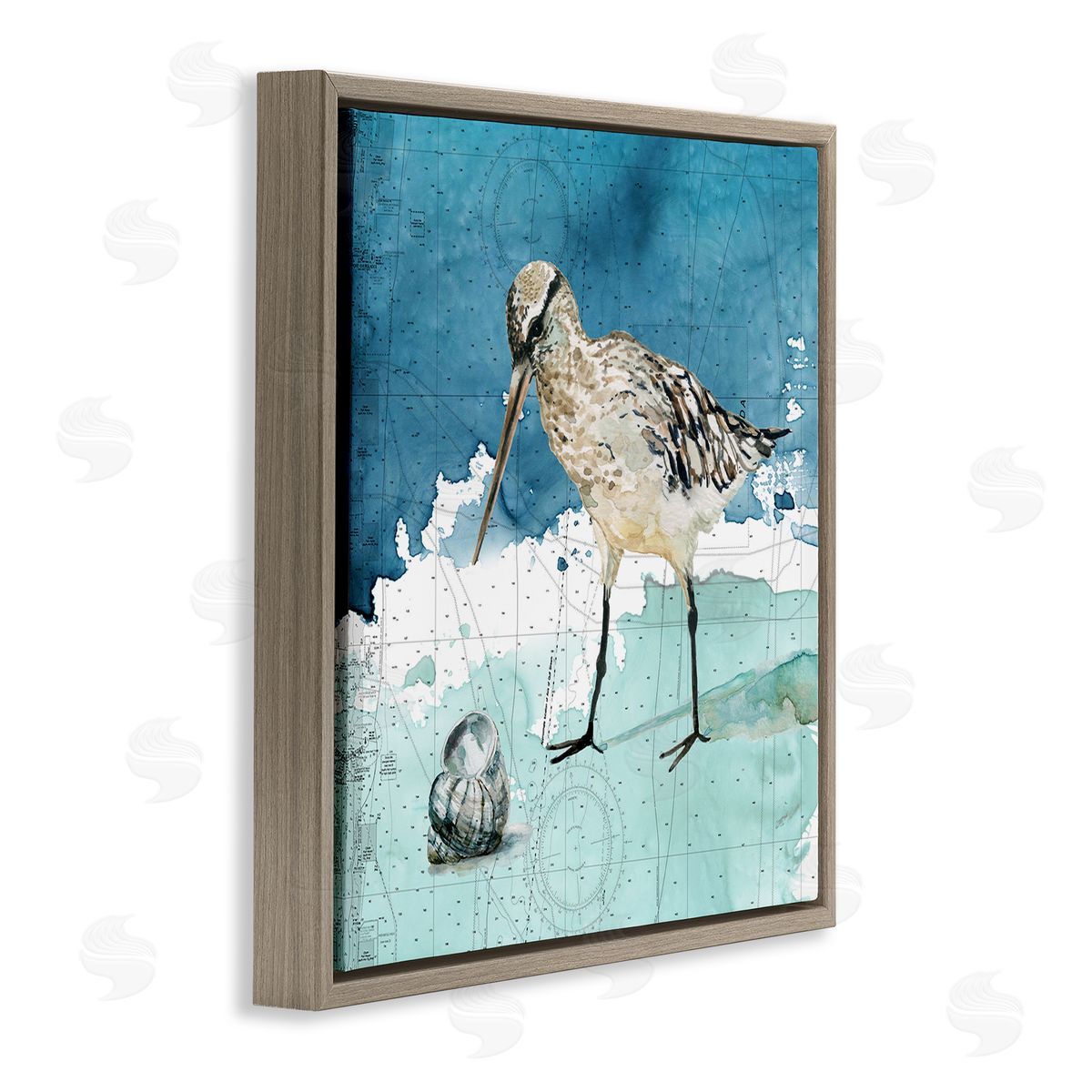 Carol Robinson Beach Bird Round Shell Blue Ocean Coastal Map Brown Floating Frame Canvas Wall Art Print