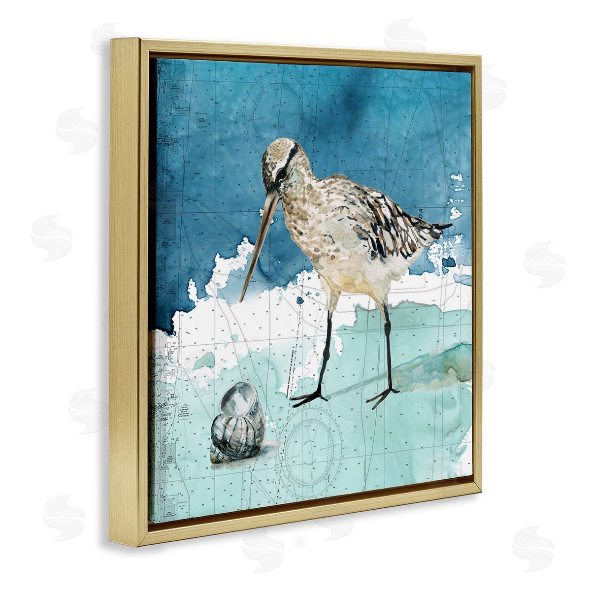 Carol Robinson Beach Bird Round Shell Blue Ocean Coastal Map Gold Floating Frame Canvas Wall Art Print