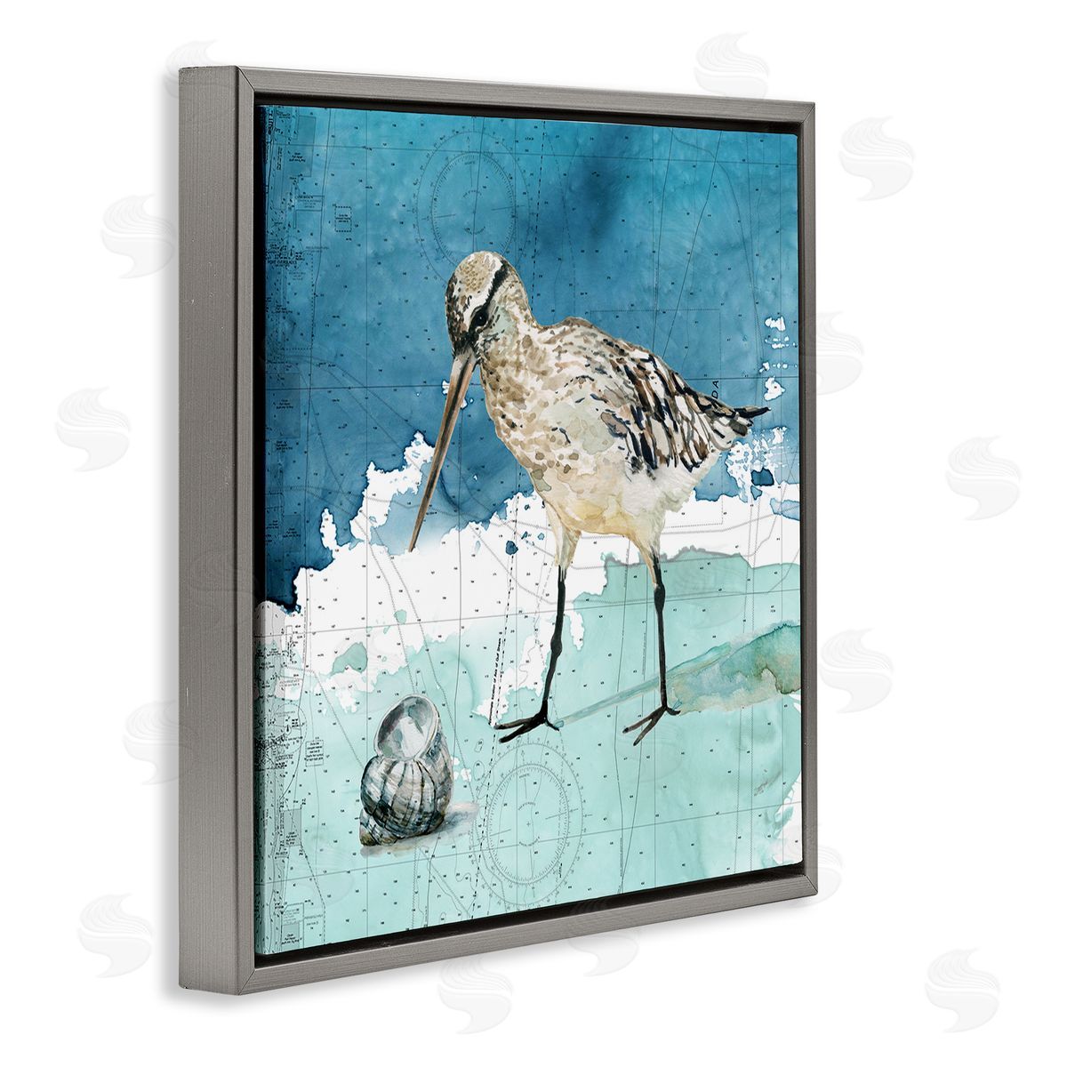 Carol Robinson Beach Bird Round Shell Blue Ocean Coastal Map Gray Floating Frame Canvas Wall Art Print