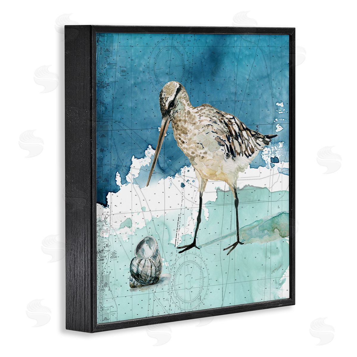 Carol Robinson Beach Bird Round Shell Blue Ocean Coastal Map Black Framed Glicee Wall Art Print