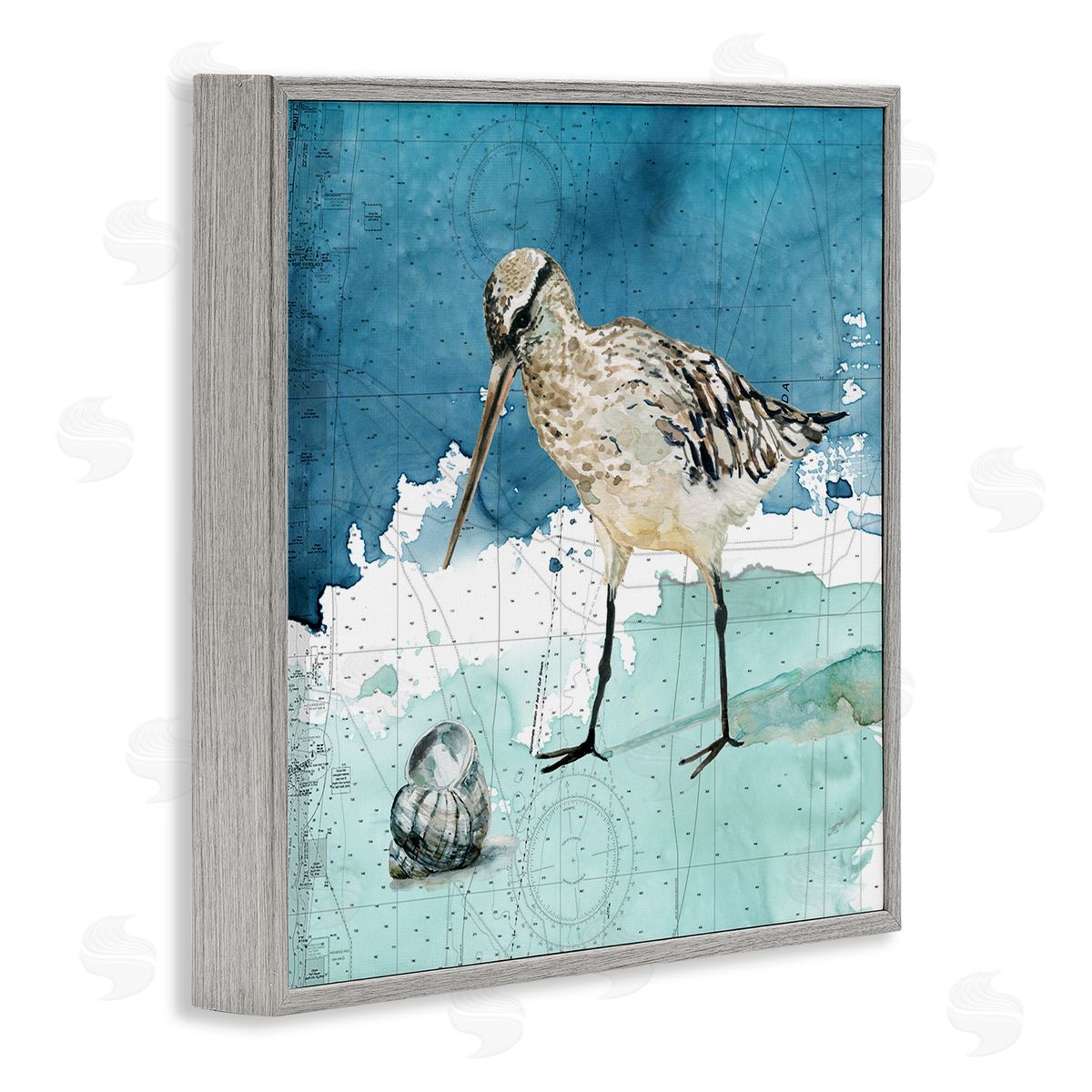 Carol Robinson Beach Bird Round Shell Blue Ocean Coastal Map Gray Framed Glicee Wall Art Print