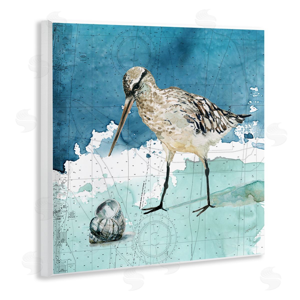 Carol Robinson Beach Bird Round Shell Blue Ocean Coastal Map Wooden Wall Plaque Art Print