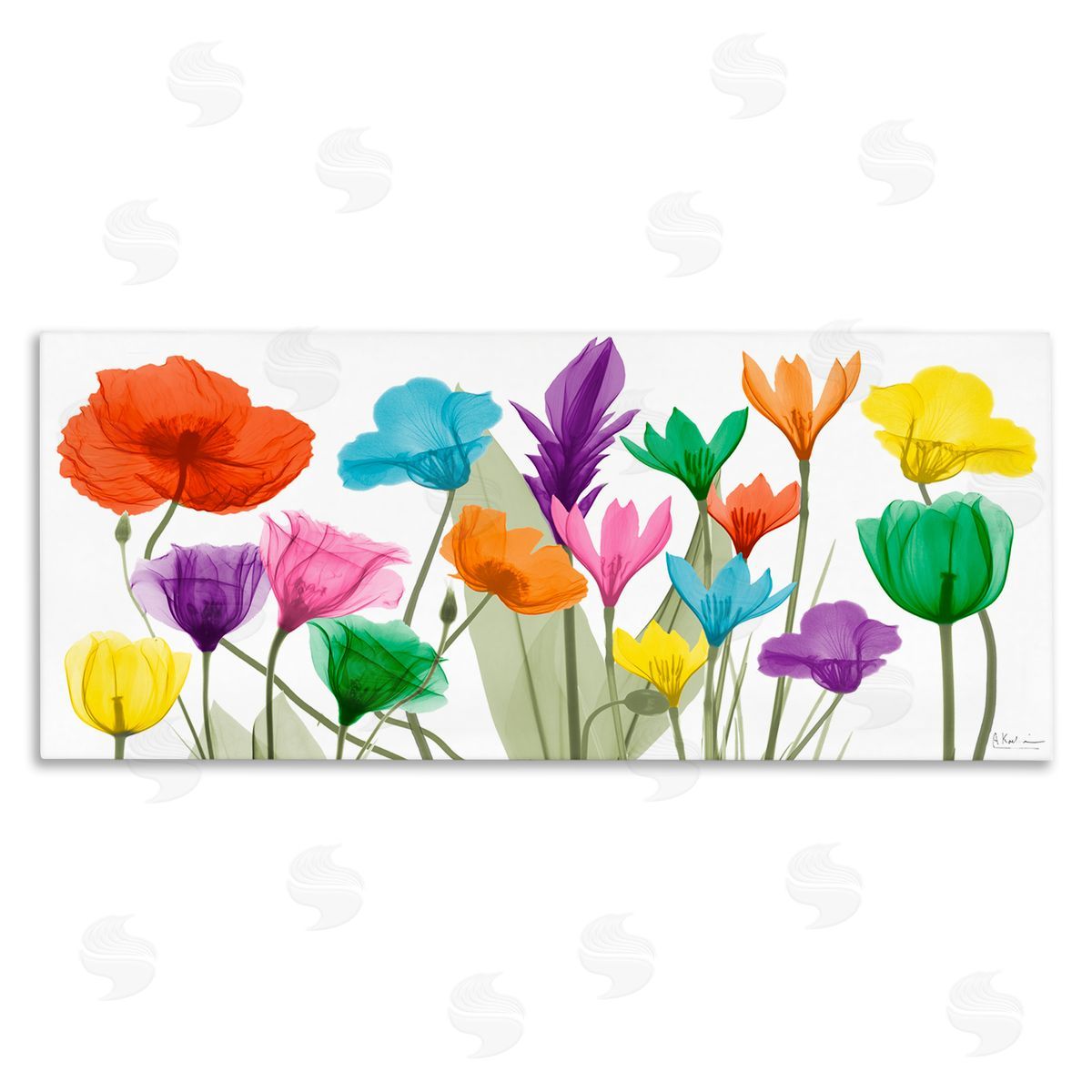 Albert Koetsier Bold Spring Floral Arrangement Translucent Plant Photography