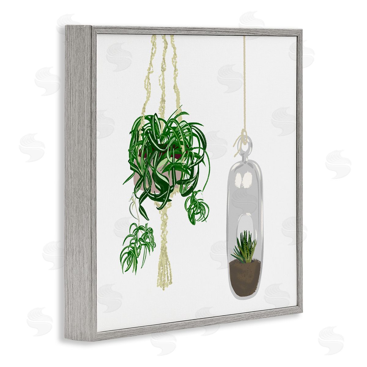 Jen Bucheli Modern Indoor Potted Greenery Spider Plant Terrarium Gray Framed Glicee Wall Art Print