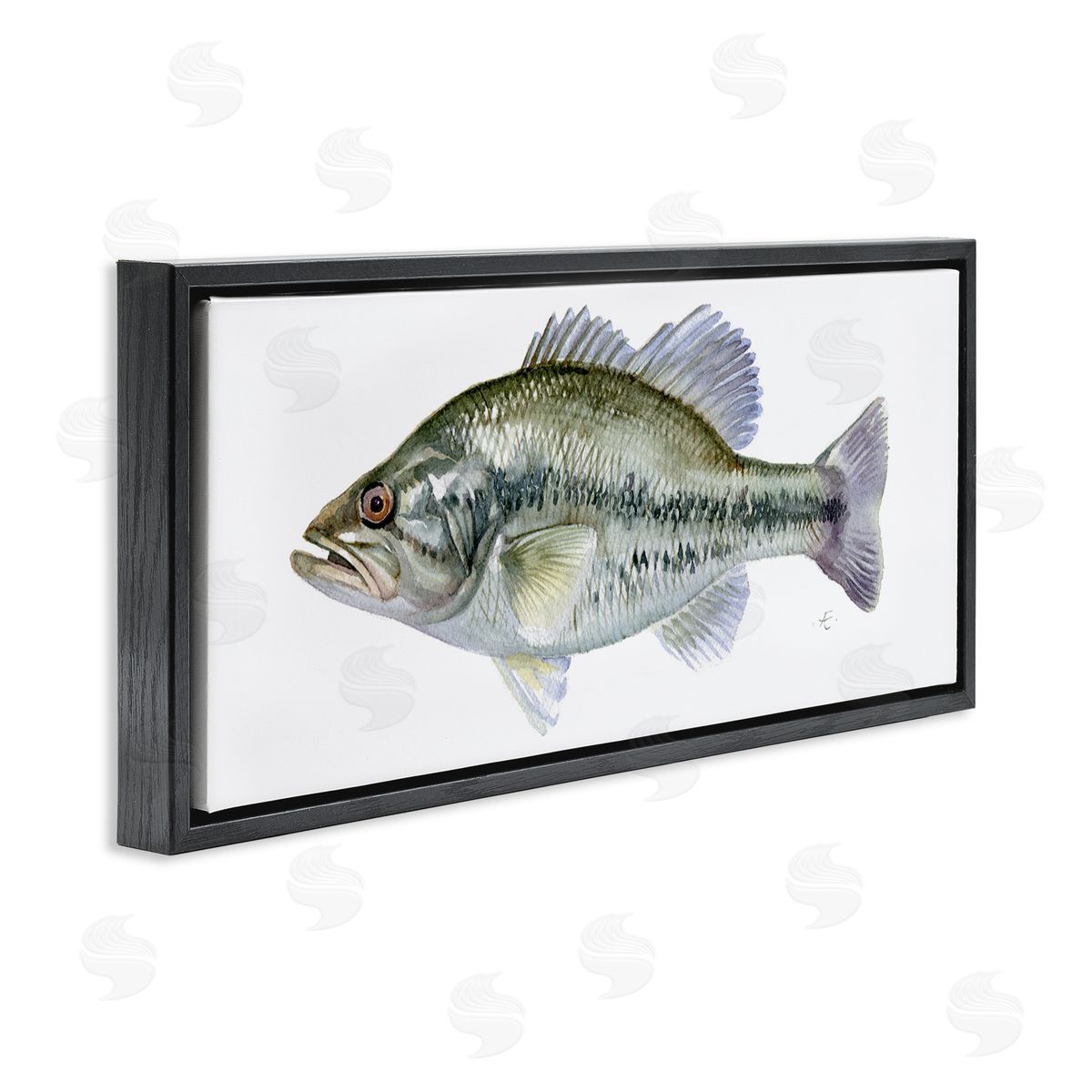 Verbrugge Watercolor Green Blue Bass Fish Modern Watercolor over White