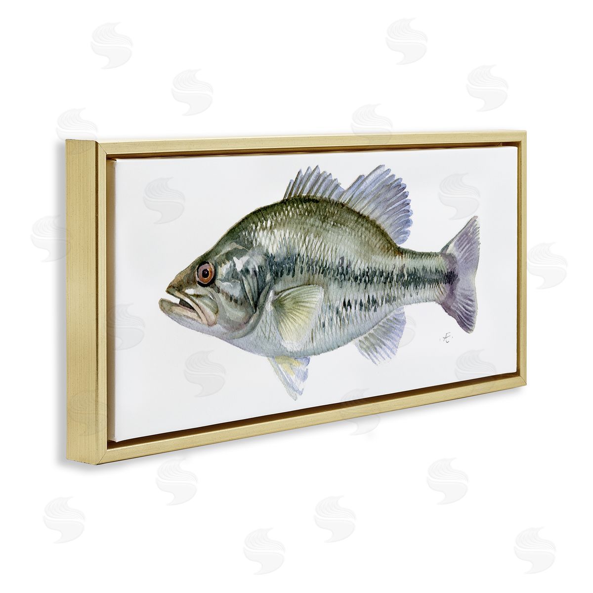 Verbrugge Watercolor Green Blue Bass Fish Modern Watercolor over White