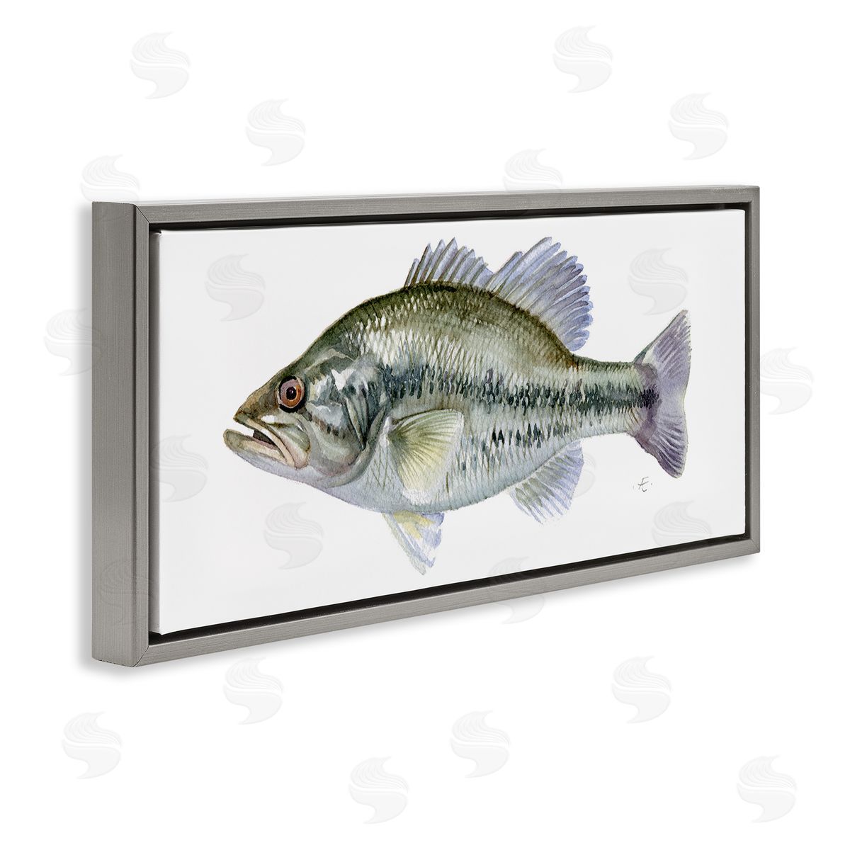 Verbrugge Watercolor Green Blue Bass Fish Modern Watercolor over White
