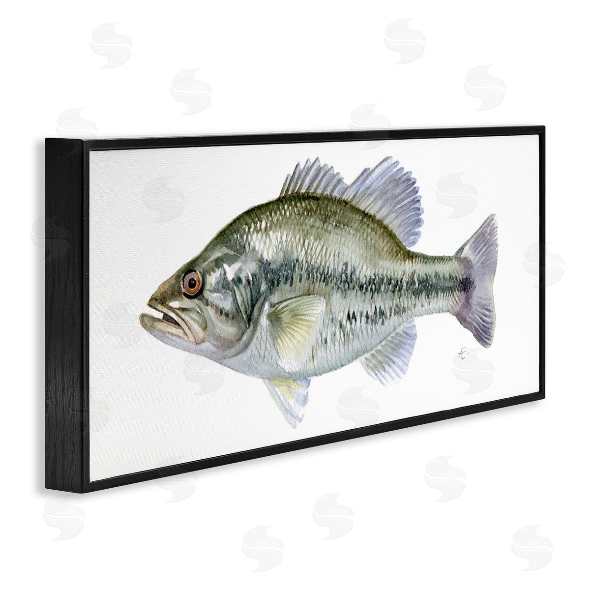 Verbrugge Watercolor Green Blue Bass Fish Modern Watercolor over White