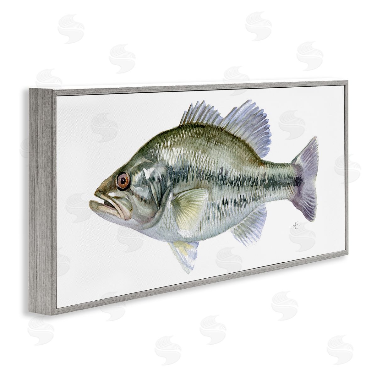 Verbrugge Watercolor Green Blue Bass Fish Modern Watercolor over White