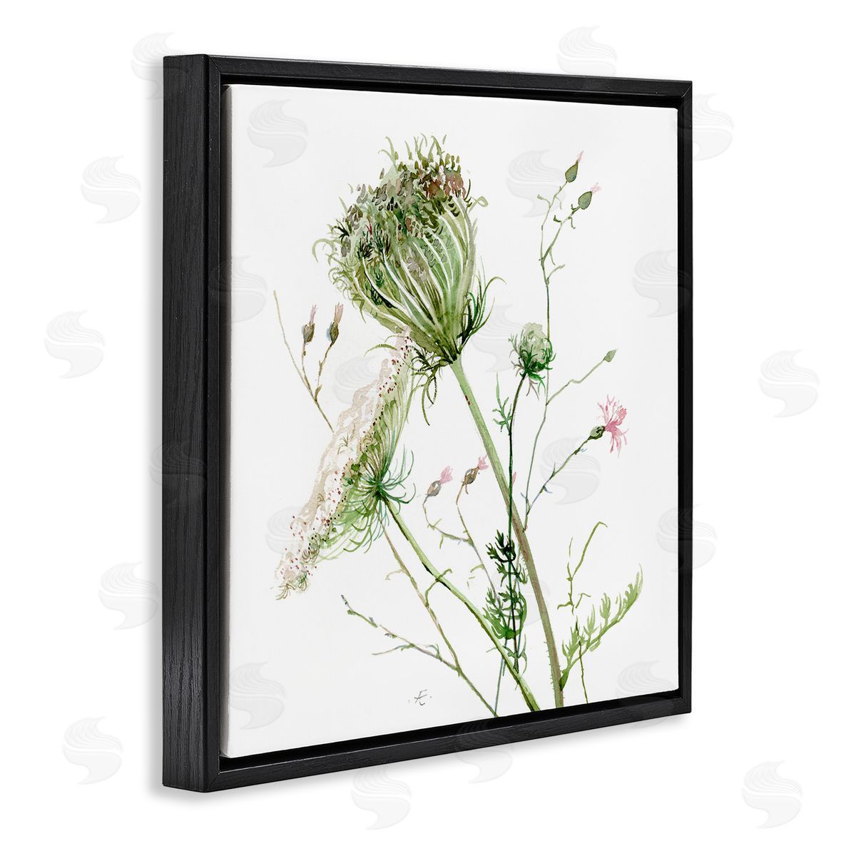 Verbrugge Watercolor Blooming Queen Anne's Lace Wildflower Watercolor Painting Black Floating Frame Canvas Wall Art Print