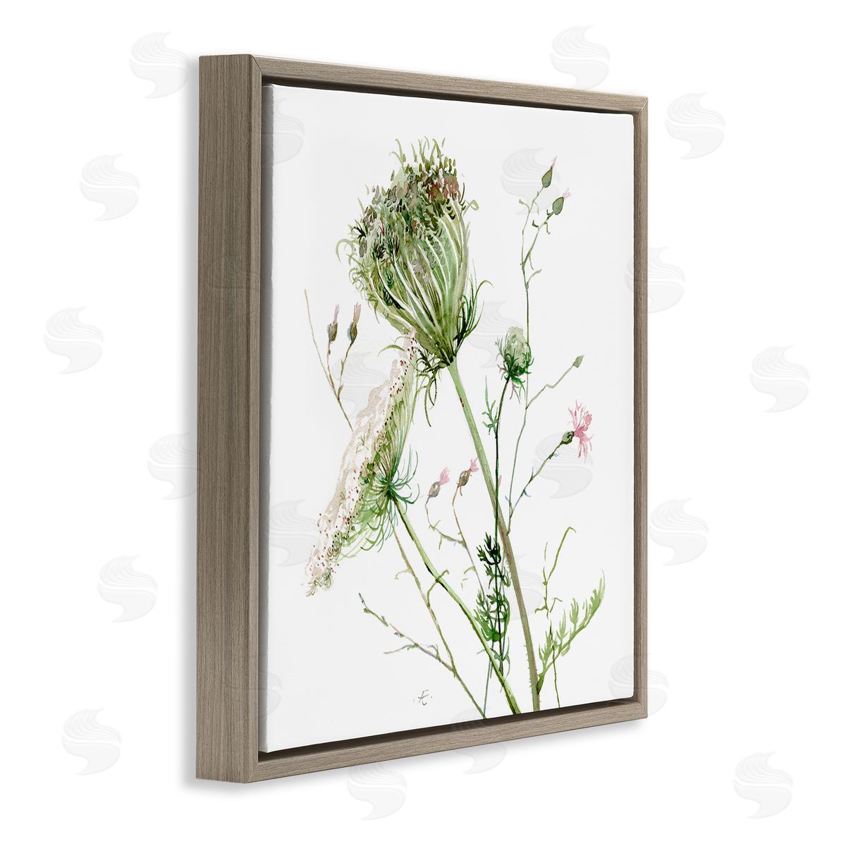 Verbrugge Watercolor Blooming Queen Anne's Lace Wildflower Watercolor Painting Brown Floating Frame Canvas Wall Art Print